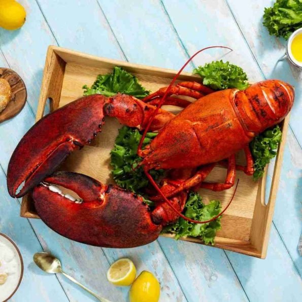 10-lb-15-lb-Live-Canadian-Lobster-595x595-1.jpg